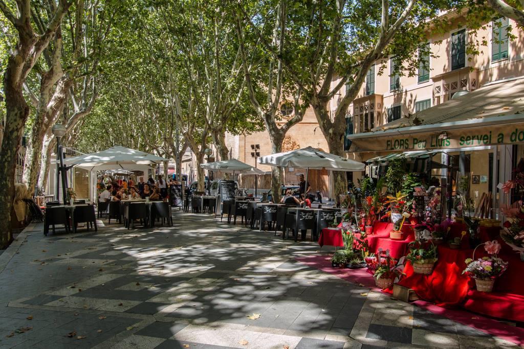 Appartement Sweet Palma